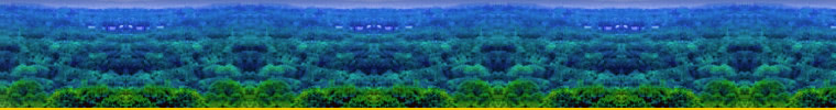 BIR Banner